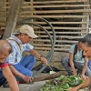 23 productores de Cotundo se capacitaron en elaboración de abono orgánico 