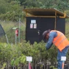 Científicos contratados por Lundin Gold trabajan con semillas y plantas en Zamora