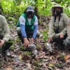 25 especímenes de vida silvestre fueron reinsertados en el Yasuní 