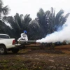 Ecuador registra 31 muertes por dengue