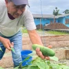33 productores de Napo implementan huertos hortícolas