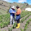 Las protestas causaron un daño profundo a la economía y a las empresas en Ecuador 