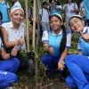Sucumbíos arranca plan de reforestación con 80.000 árboles en la cuenca del Aguarico