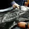 10,5 kilos de cocaína fueron incautados cuando iban a ser enviados a España impregnados en alfombras