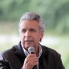 Moreno participará en la cumbre de la Amazonía y analizará incendios
