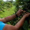 Petroamazonas invirtió $16.9 millones en proyectos sociales en 2019