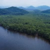 El 43 % de los bosques tropicales que desaparecieron en el planeta en 2022 eran de Brasil 