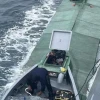 La Armada localizó semisumergible con 4 toneladas de droga 