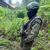 11 grupos terroristas operan en la frontera norte 
