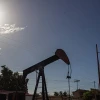 Empresas de Argentina, Uruguay, China y Canadá compiten por campos en Sucumbíos