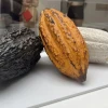 El cacao ecuatoriano se exhibe en Madrid
