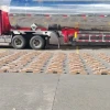 La Policía decomisó 550 kilos de cocaína en un vehículo en Carchi