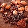 El precio del cacao mantiene una tendencia a la baja