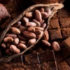 El cacao alcanza precio récord y supera los $9.600 por tonelada 