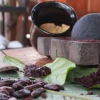 El chocolate es un eje turístico en la provincia de Napo