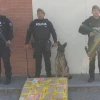 La Policía  halló 17 kilos de cocaína en encomiendas de correo