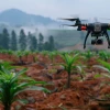 La siembra de semillas de un dron apunta a revolucionar la reforestación en Ecuador