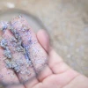 Inauguran laboratorio de análisis de microplásticos en archipiélago de Galápagos