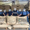 17 toneladas de café amazónico llegan a Italia