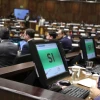 La Asamblea respalda cooperación internacional para combatir crimen organizado