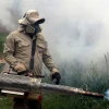 El gobierno declaró alerta epidemiológica en 3 provincias por brote de dengue