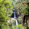 El corredor Sangay-Podocarpus ya es oficial 