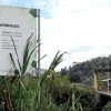 La Corte Constitucional mantiene paralizado proyecto Llurimagua