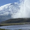 WWF Ecuador expresa preocupación por la inseguridad dentro de áreas protegidas 