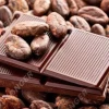 Preocupación entre productores de cacao en Ecuador
