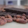 Caída en exportaciones de cacao responde a ajuste de precios internacionales