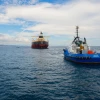 Petroecuador exportará 7’560.000 barriles de crudo en abril