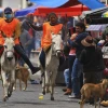 Salcedo acogió a la carrera de burros más grande del mundo