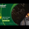 La Voz de la Amazonía: Viaje a la Cueva de los Tayos