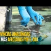 Las provincias amazónicas son las más afectadas por la bacteria E. coli