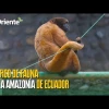 Noticias de Ecuador hoy. Podcast Noti Oriente [28 de junio, 2024]