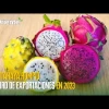 Noticias de Ecuador. Podcast Noti Oriente [15 de marzo, 2024] 