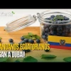 Noticias de Ecuador. Podcast Noti Oriente [17 de enero, 2025]