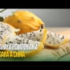 Noticias Ecuador. Podcast Noti Oriente 05-04-2023