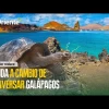 Noticias Ecuador. Podcast Noti Oriente 10-05-2023