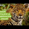Noticias Ecuador. Podcast Noti Oriente 30-11-2022