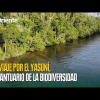 Yasuní: Un viaje a la Tierra Sagrada y su incomparable biodiversidad