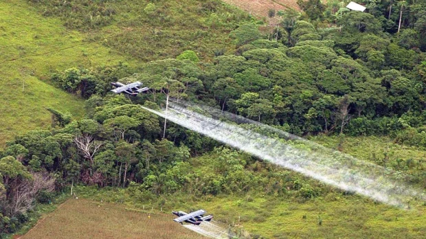 Gobierno identifica 9 municipios para piloto de aspersión de cultivos de coca en Putumayo