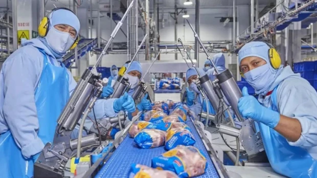 Pronaca analiza exportar pollo a China, pero enfrenta retos por los costos en Ecuador