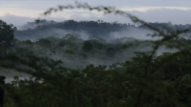 Proyecto KBA identifica 125 áreas clave para su conservación en Ecuador