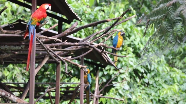 Lago Agrio, ‘tierra de colores’, es un paraíso en la Amazonía