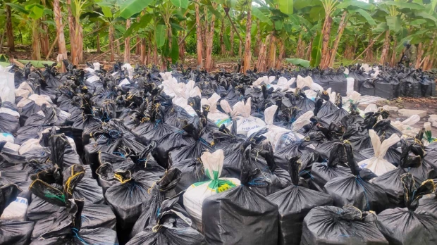 Las toneladas de cocaína decomisadas en Vinces subieron a 22 