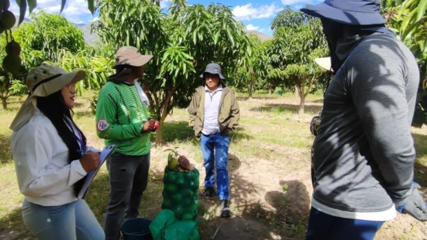 El agro ecuatoriano mueve USD 63 millones mediante ventas directas
