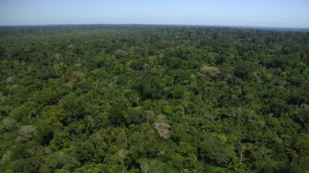 Colombia revoca protección que frenaba nuevos proyectos mineros en la Amazonía