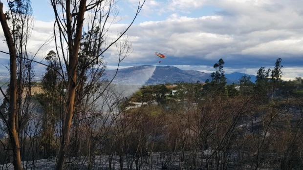 16.000 hectáreas han ardido en Ecuador en las últimas 2 semanas 