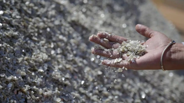 OCDE ve una oportunidad para América Latina en minerales críticos